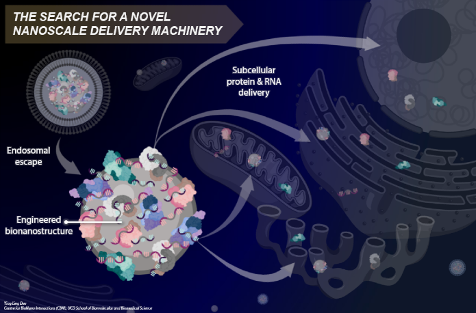 Ying Ling Dee: 2nd Research Visualisation Competition